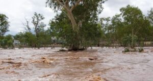 Environmental Conservation and Natural Disasters