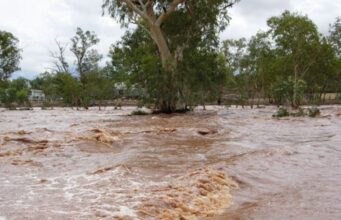 Environmental Conservation and Natural Disasters