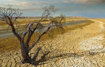 The inevitability of Climate Change